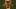 Bäume Besetzen Thumbnail 